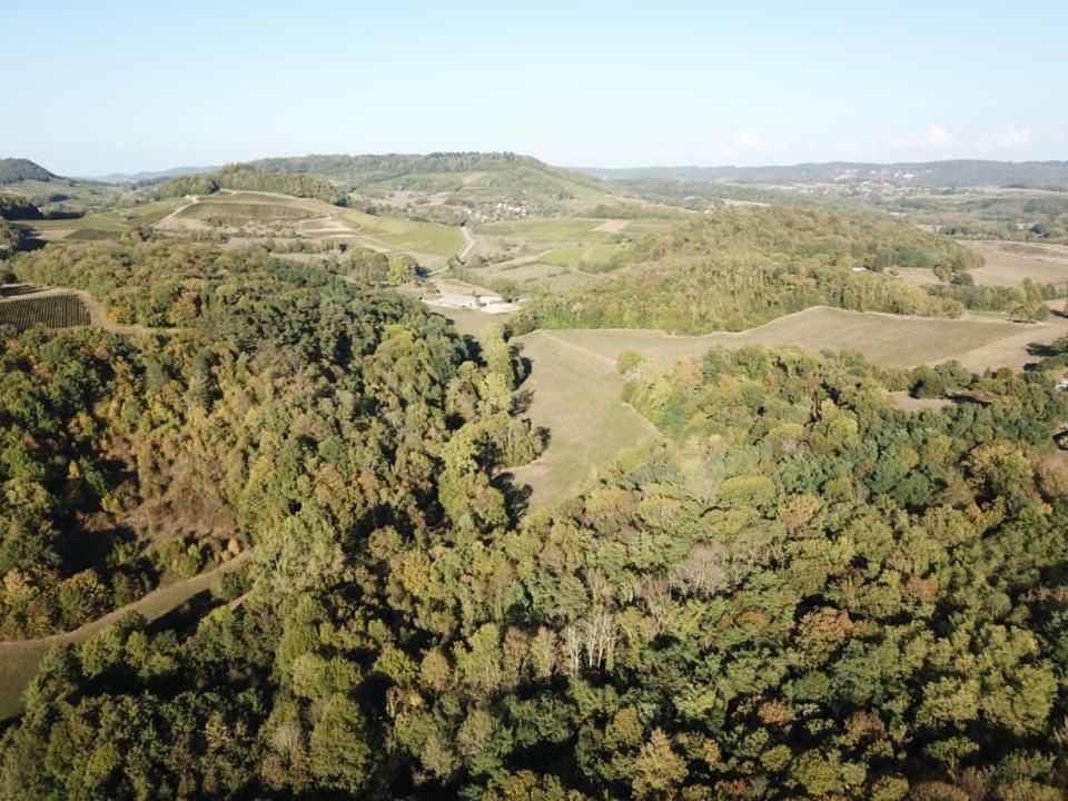 مبيت وإفطار Montmorot La Ferme De Montard المظهر الخارجي الصورة